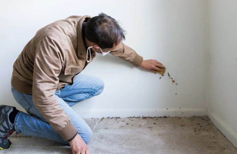 A Man Checking the Wall and Cleaning